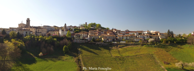 Un'onda blu tra Langhe e Monferrato: l'app Municipium conquista Castagnole delle Lanze con oltre 1000 dispositivi attivati