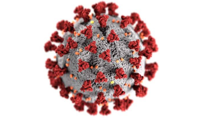 Coronavirus Piemonte | Focus settimanale 7 - 13 marzo 2024