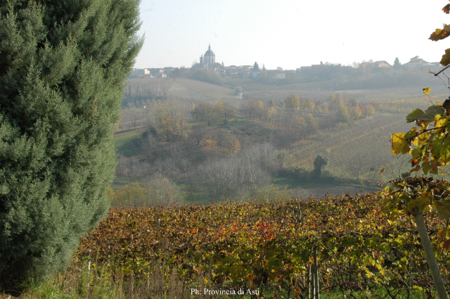 Paesaggio di Fontanile (8)