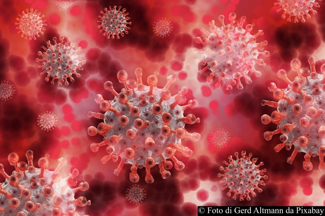 coronavirus-virus-macro-2