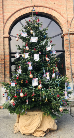 Risplende ad Incisa Scapaccino l'albero di Natale allestito dagli alunni