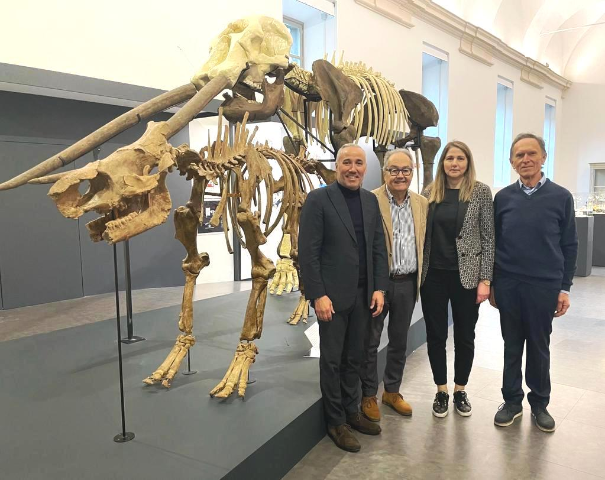 I grandi fossili del Villafranchiano protagonisti al Museo di Scienze Naturali di Torino