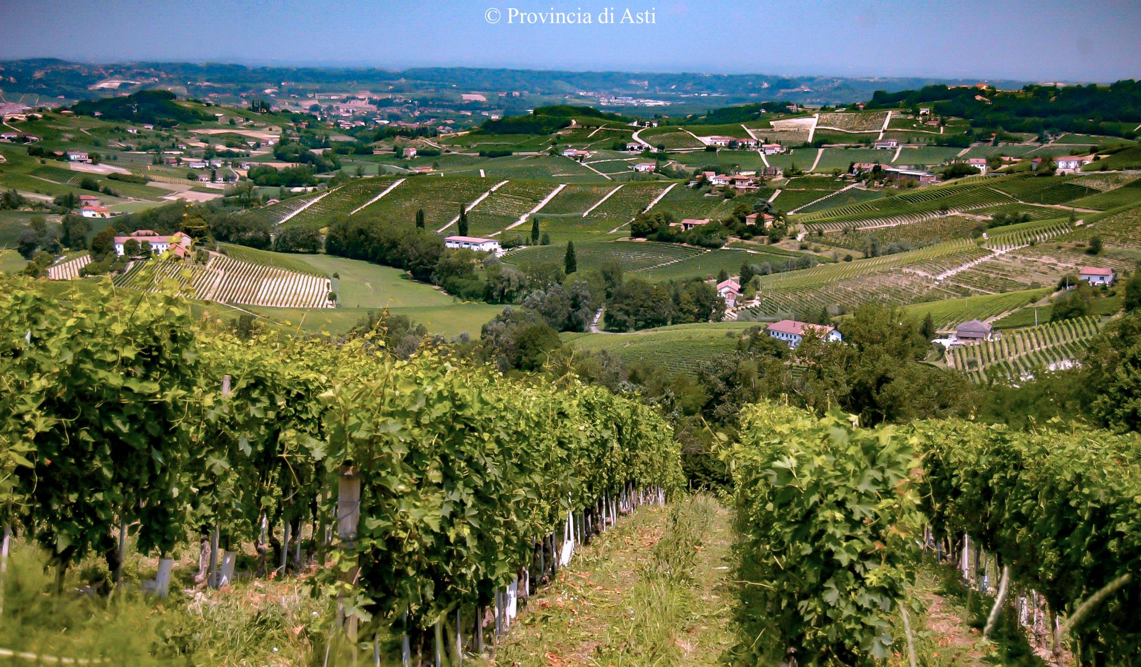 Auguri a Claudio Gatti, sindaco di Castel Boglione