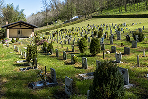 Il Giardino degli Animali