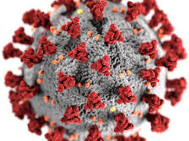 Coronavirus Piemonte: due nuovi avvisi pubblici per la ricerca di personale