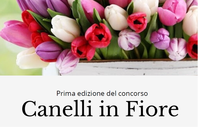Canelli in Fiore: concorso fotografico per valorizzare con piante e fiori la capitale spumantiera