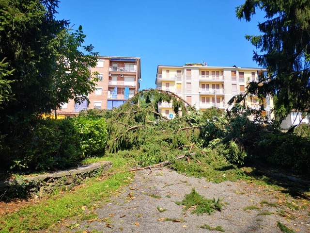 Maltempo 1-2 agosto: il Comune di Moncalvo chiede lo stato di calamità naturale