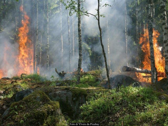 Piemonte: dal 26 marzo stato di massima pericolosità incendi boschivi