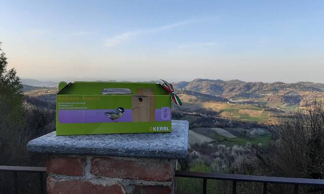 Pasqua ad Albugnano: il sindaco Angilletta dona casette per uccellini ai bambini