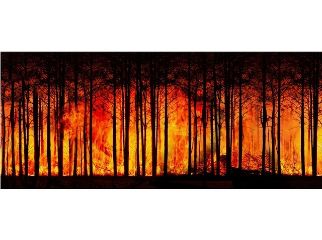 Regione Piemonte: dal 30 dicembre stato di massima pericolosità per incendi boschivi