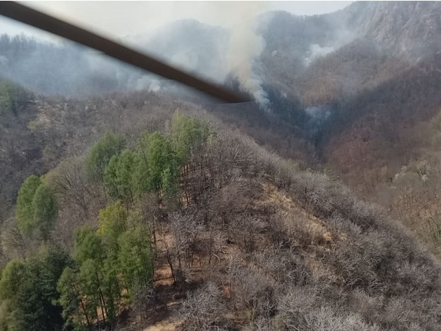Incendi boschivi: permane lo stato di massima pericolosità